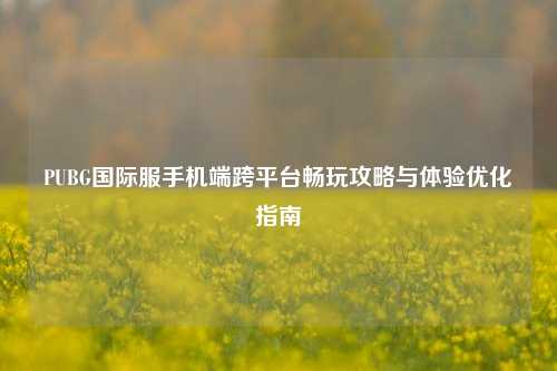 PUBG国际服手机端跨平台畅玩攻略与体验优化指南