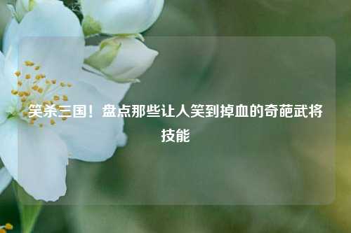 笑杀三国!盘点那些让人笑到掉血的奇葩武将技能