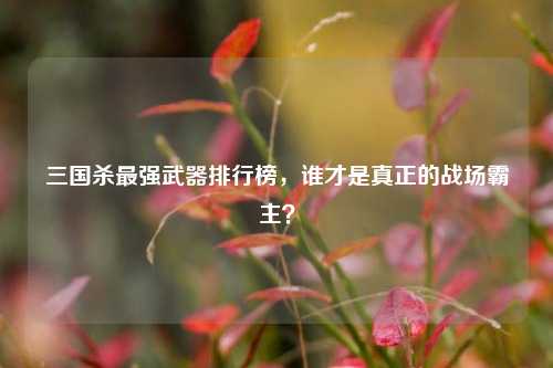 三国杀最强武器排行榜,谁才是真正的战场霸主?