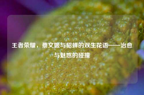 王者荣耀,蔡文姬与貂蝉的双生花语——治愈与魅惑的碰撞