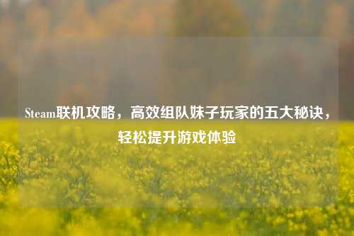 Steam联机攻略,高效组队妹子玩家的五大秘诀,轻松提升游戏体验