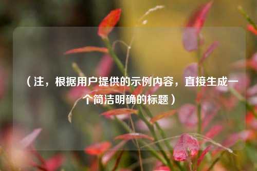 （注，根据用户提供的示例内容，直接生成一个简洁明确的标题）