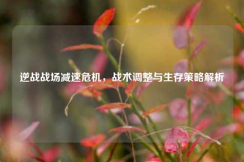逆战战场减速危机,战术调整与生存策略解析