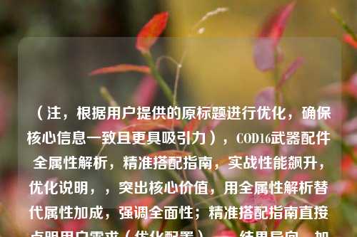 (注,根据用户提供的原标题进行优化,确保核心信息一致且更具吸引力),COD16武器配件全属性解析,精准搭配指南,实战性能飙升,优化说明,,突出核心价值,用全属性解析替代属性加成,强调全面性;精准搭配指南直接点明用户需求(优化配置)。,结果导向,加入实战性能飙升,通过结果吸引玩家点击,比原题更具体且富有行动力。,简洁有力,控制在20字内,避免冗长,同时保留关键词(COD16、武器配件、优化)。,如果需要其他风格(如悬念型、数据型),可进一步调整!