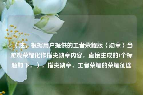 （注，根据用户提供的王者荣耀版〈勋章〉当游戏荣耀化作指尖勋章内容，直接生成的1个标题如下，），指尖勋章，王者荣耀的荣耀征途