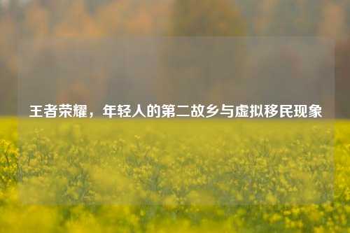 王者荣耀,年轻人的第二故乡与虚拟移民现象
