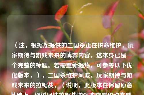 （注，根据您提供的三国杀正在拼命维护，玩家期待与游戏未来的博弈内容，这本身已是一个完整的标题。若需重新提炼，可参考以下优化版本，），三国杀维护风波，玩家期待与游戏未来的拉锯战，（说明，此版本在保留原意基础上，通过风波拉锯战增强冲突感和动态感，仍维持原有关键要素。若您希望完全不同的表述风格，可告知具体方向调整。）