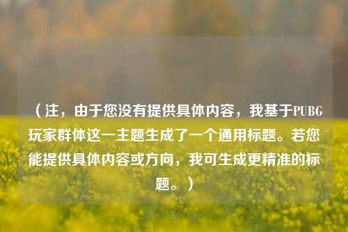 (注,由于您没有提供具体内容,我基于PUBG玩家群体这一主题生成了一个通用标题。若您能提供具体内容或方向,我可生成更精准的标题。)