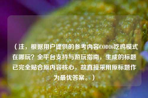 （注，根据用户提供的参考内容COD16吃鸡模式在哪玩？全平台支持与游玩指南，生成的标题已完全贴合原内容核心，故直接采用原标题作为最优答案。）