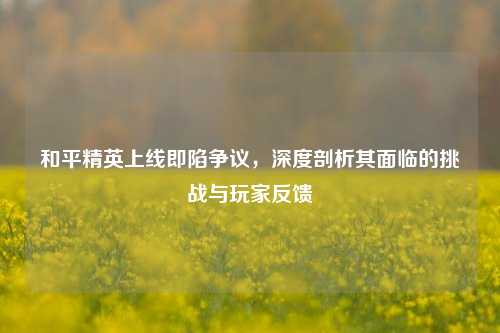 和平精英上线即陷争议，深度剖析其面临的挑战与玩家反馈