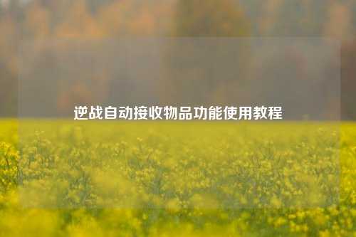逆战自动接收物品功能使用教程