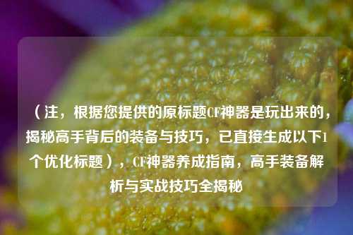 （注，根据您提供的原标题CF神器是玩出来的，揭秘高手背后的装备与技巧，已直接生成以下1个优化标题），CF神器养成指南，高手装备解析与实战技巧全揭秘