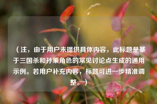 （注，由于用户未提供具体内容，此标题是基于三国杀和孙策角色的常见讨论点生成的通用示例。若用户补充内容，标题可进一步精准调整。）