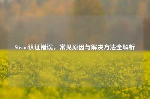 Steam认证错误,常见原因与解决方法全解析