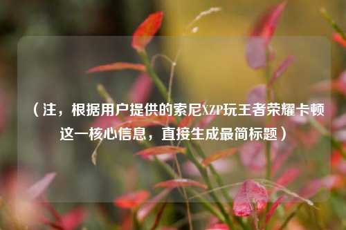 (注,根据用户提供的索尼XZP玩王者荣耀卡顿这一核心信息,直接生成最简标题)