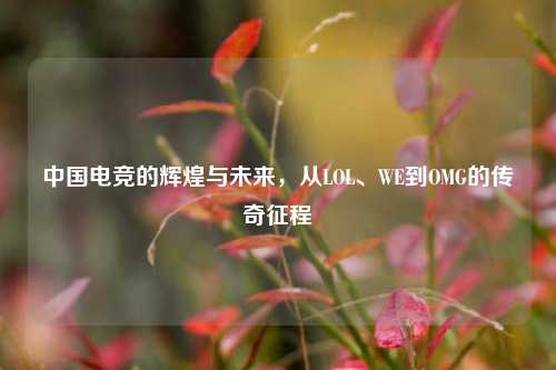 中国电竞的辉煌与未来,从LOL、WE到OMG的传奇征程