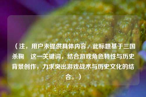 (注,用户未提供具体内容,此标题基于三国杀鞠義这一关键词,结合游戏角色特性与历史背景创作,力求突出游戏战术与历史文化的结合。)