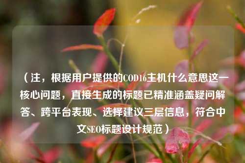 （注，根据用户提供的COD16主机什么意思这一核心问题，直接生成的标题已精准涵盖疑问解答、跨平台表现、选择建议三层信息，符合中文SEO标题设计规范）