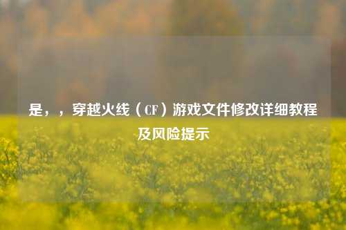 是,,穿越火线(CF)游戏文件修改详细教程及风险提示