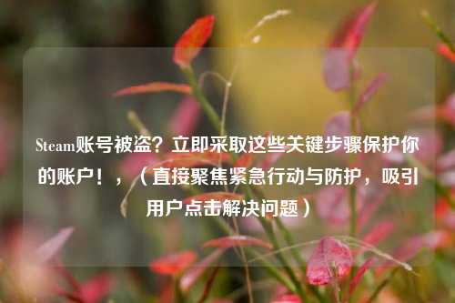 Steam账号被盗?立即采取这些关键步骤保护你的账户!,(直接聚焦紧急行动与防护,吸引用户点击解决问题)