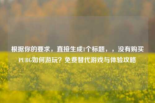根据你的要求，直接生成1个标题，，没有购买PUBG如何游玩？免费替代游戏与体验攻略