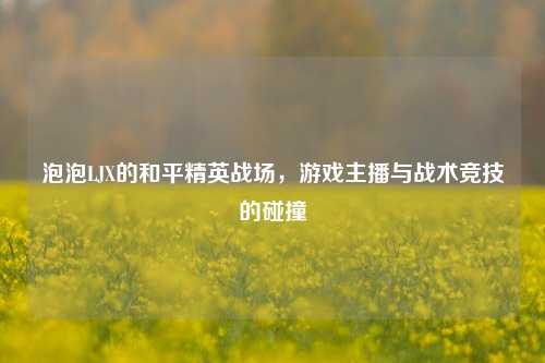 泡泡LJX的和平精英战场,游戏主播与战术竞技的碰撞