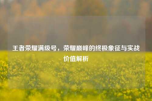 王者荣耀满级号,荣耀巅峰的终极象征与实战价值解析