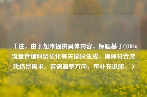 (注,由于您未提供具体内容,标题基于COD16流量管理网络优化等关键词生成,确保符合游戏场景需求。若需调整方向,可补充说明。)
