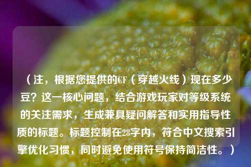 （注，根据您提供的CF（穿越火线）现在多少豆？这一核心问题，结合游戏玩家对等级系统的关注需求，生成兼具疑问解答和实用指导性质的标题。标题控制在28字内，符合中文搜索引擎优化习惯，同时避免使用符号保持简洁性。）