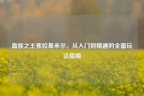 血族之王弗拉基米尔,从入门到精通的全面玩法指南