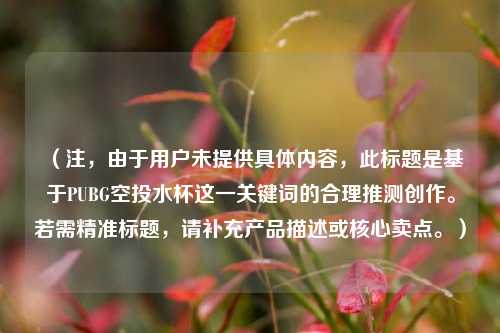 （注，由于用户未提供具体内容，此标题是基于PUBG空投水杯这一关键词的合理推测创作。若需精准标题，请补充产品描述或核心卖点。）