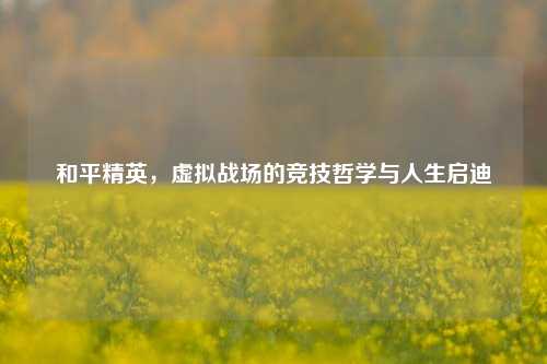 和平精英，虚拟战场的竞技哲学与人生启迪