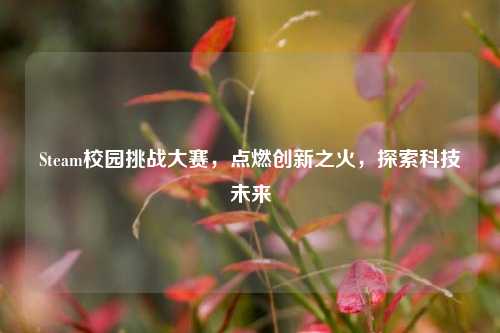 Steam校园挑战大赛，点燃创新之火，探索科技未来