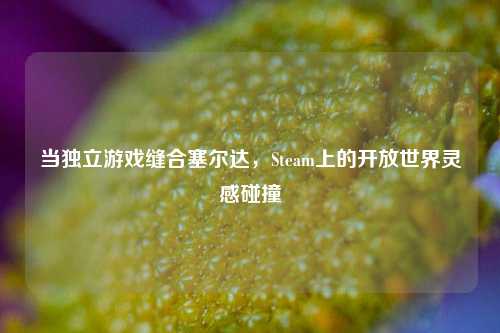 当独立游戏缝合塞尔达，Steam上的开放世界灵感碰撞
