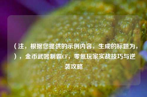 (注,根据您提供的示例内容,生成的标题为,),金币武器制霸CF,零氪玩家实战技巧与逆袭攻略