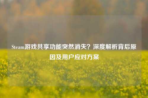 Steam游戏共享功能突然消失?深度解析背后原因及用户应对方案