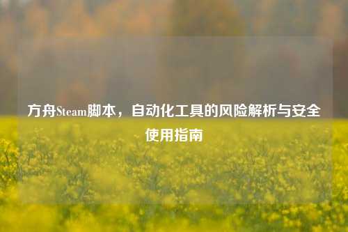 方舟Steam脚本，自动化工具的风险解析与安全使用指南