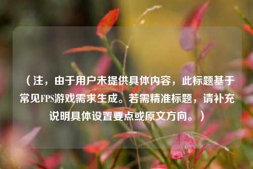 (注,由于用户未提供具体内容,此标题基于常见FPS游戏需求生成。若需精准标题,请补充说明具体设置要点或原文方向。)