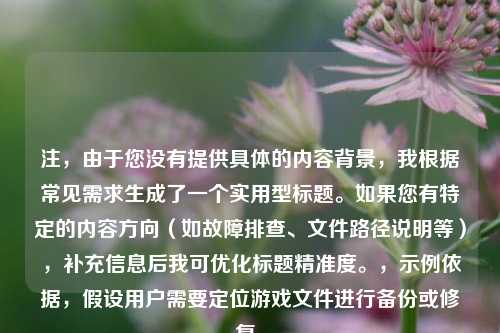 注，由于您没有提供具体的内容背景，我根据常见需求生成了一个实用型标题。如果您有特定的内容方向（如故障排查、文件路径说明等），补充信息后我可优化标题精准度。，示例依据，假设用户需要定位游戏文件进行备份或修复。