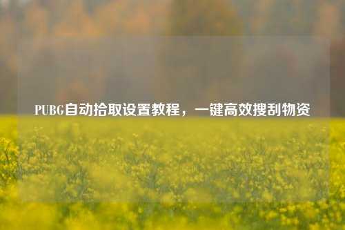 PUBG自动拾取设置教程，一键高效搜刮物资