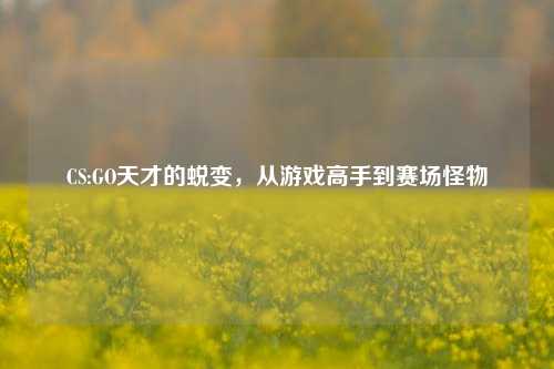 CS:GO天才的蜕变,从游戏高手到赛场怪物