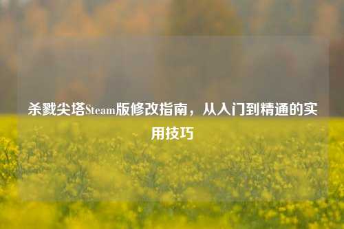 杀戮尖塔Steam版修改指南,从入门到精通的实用技巧