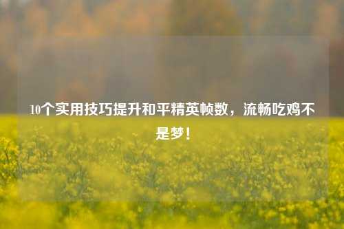 10个实用技巧提升和平精英帧数,流畅吃鸡不是梦!