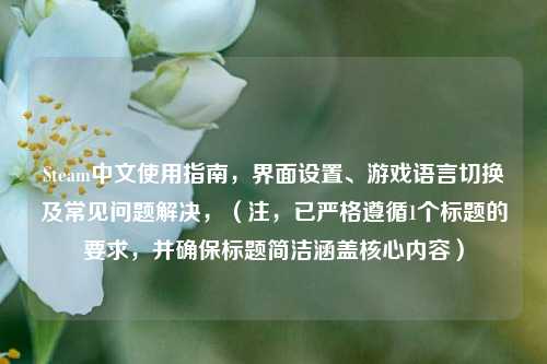 Steam中文使用指南，界面设置、游戏语言切换及常见问题解决，（注，已严格遵循1个标题的要求，并确保标题简洁涵盖核心内容）