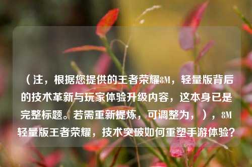 （注，根据您提供的王者荣耀8M，轻量版背后的技术革新与玩家体验升级内容，这本身已是完整标题。若需重新提炼，可调整为，），8M轻量版王者荣耀，技术突破如何重塑手游体验？