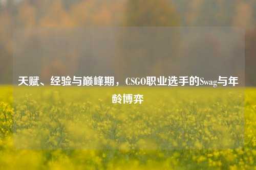 天赋、经验与巅峰期，CSGO职业选手的Swag与年龄博弈