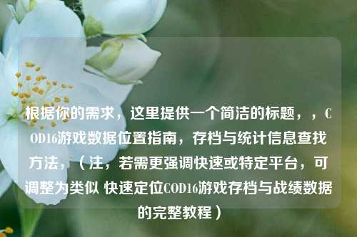 根据你的需求，这里提供一个简洁的标题，，COD16游戏数据位置指南，存档与统计信息查找方法，（注，若需更强调快速或特定平台，可调整为类似 快速定位COD16游戏存档与战绩数据的完整教程）