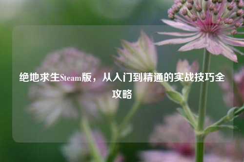 绝地求生Steam版，从入门到精通的实战技巧全攻略