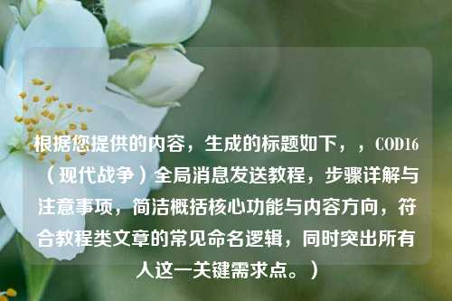 根据您提供的内容,生成的标题如下,,COD16(现代战争)全局消息发送教程,步骤详解与注意事项,简洁概括核心功能与内容方向,符合教程类文章的常见命名逻辑,同时突出所有人这一关键需求点。)