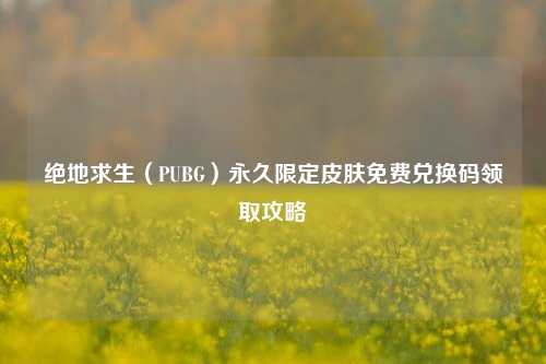 绝地求生（PUBG）永久限定皮肤免费兑换码领取攻略